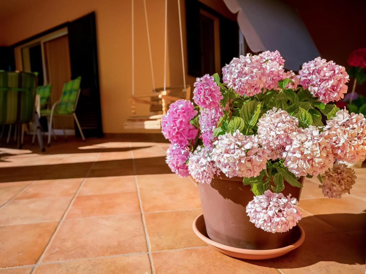 Holiday Home Mila By Interhome Kras Exteriér fotografie